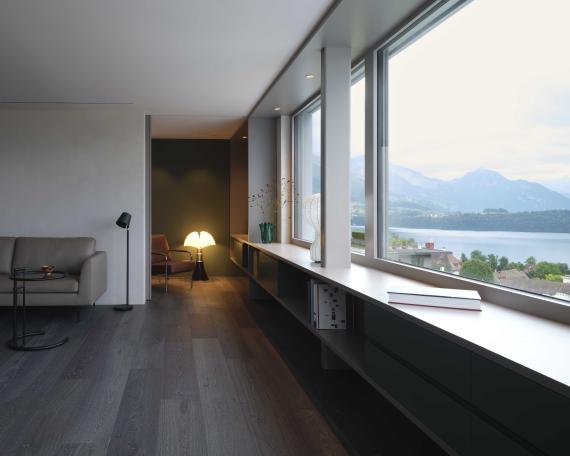 Wohnung Meggen